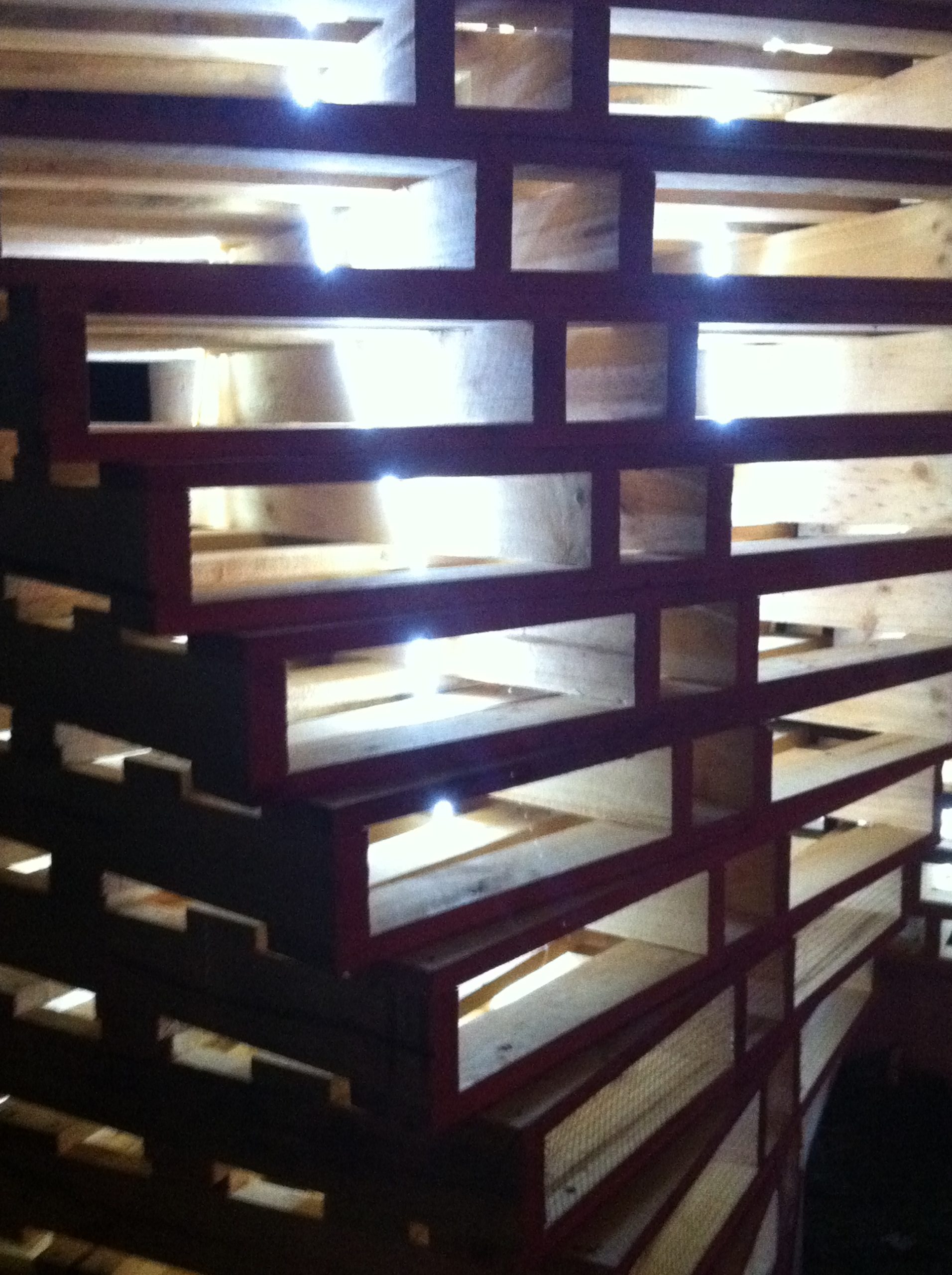 Photo by Elissa Farrow